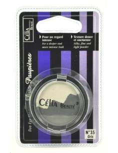 DUO FARDS A PAUPIERES GRIS