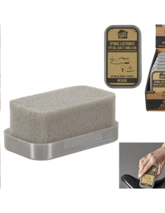 EPONGE LUSTRANTE INCOLORE