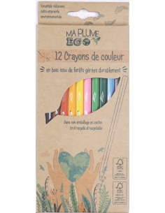 CRAYONS DE COULEUR 12 PCS