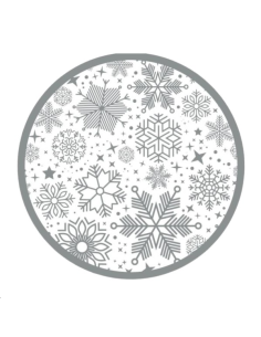 ASSIETTES CARTON ARGENT FLOCONS