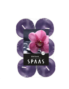 CHAUFFE PLAT PARFUM ORCHIDEE