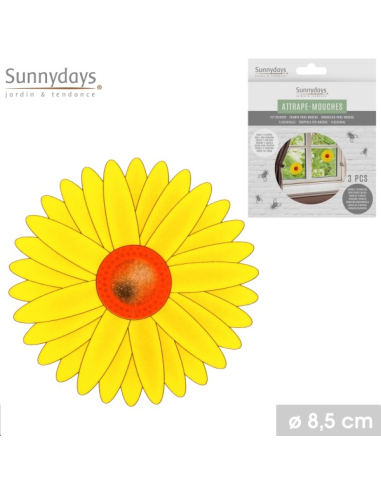 ATTRAPES MOUCHES PIEGE A MOUCHE 