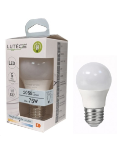 Ampoule LED Standard - E27 / 10W 