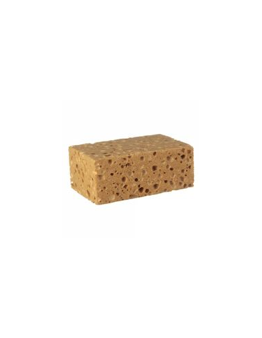 EPONGE JUMBO