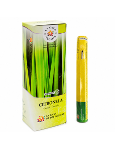 ENCENS CITRONNELLE x 20 pcs