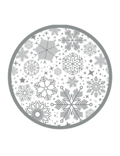 ASSIETTES CARTON ARGENT FLOCONS