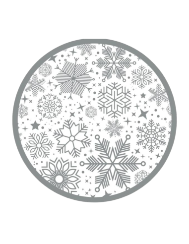 ASSIETTES CARTON ARGENT FLOCONS