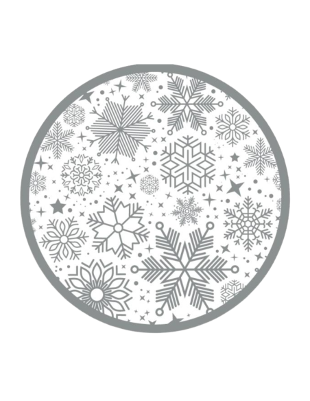 ASSIETTES CARTON ARGENT FLOCONS