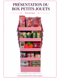BOX PETITS JOUETS  SECHES PLEURS
