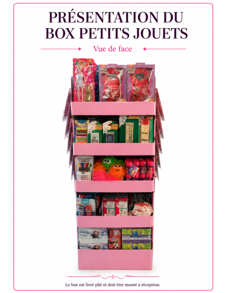 BOX PETITS JOUETS  SECHES PLEURS