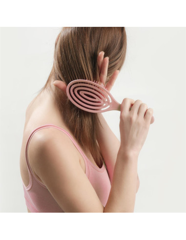 BROSSE DEMELANTE